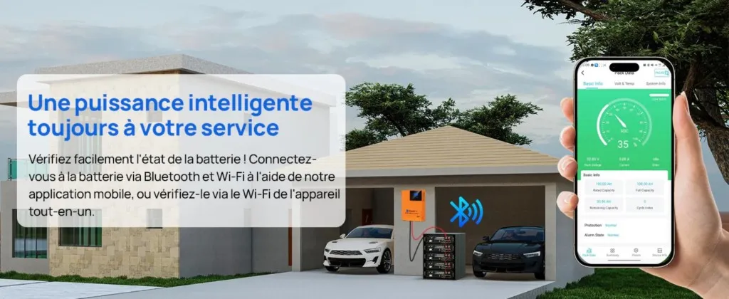 Batterie LiFePO4 48V 100Ah avec BMS et surveillance Bluetooth intégrée