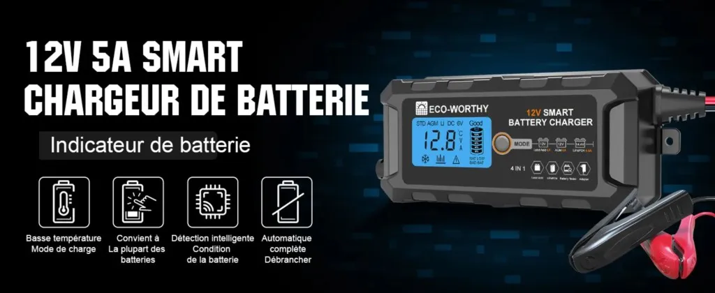 Chargeur 12V 5A compatible voitures motos bateaux