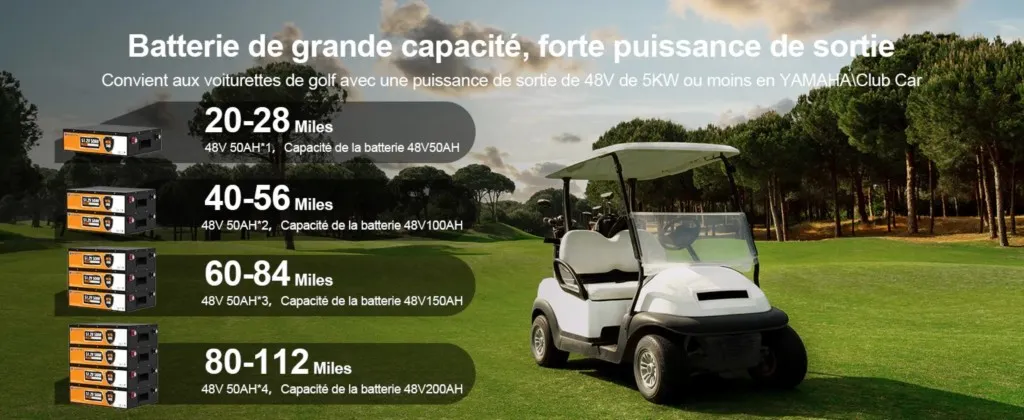 Boîtier métallique renforcé de la batterie LiFePO4