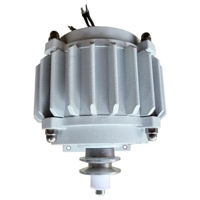 Générateur pour éolienne 24v 800W avec poulie