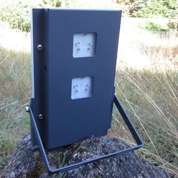 Projecteur solaire 2 LED