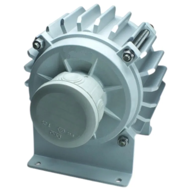Génératrice 24V 800W à aimant permanent triphasée avec double roulement